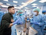 HK Wrist Course 2024 - Workshops  - 63 of 241.jpeg